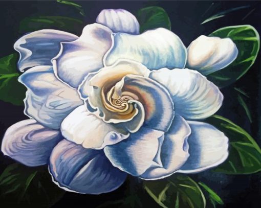 Aesthetic Gardenia Flower Paint By Numbers