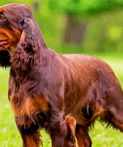 Chocolate Brown Field Spaniel Paint By Numbers