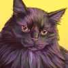 Fluffy Black Cat Head Paint By Numbers