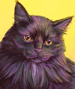Fluffy Black Cat Head Paint By Numbers