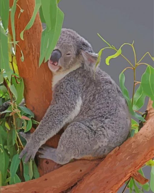 Koala Sleeping On Gumtree Paint By Numbers