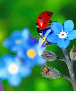 Ladybug On Forget Me Nots Flower Paint By Numbers