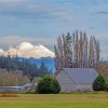 Landscape White Barns Paint By Numbers