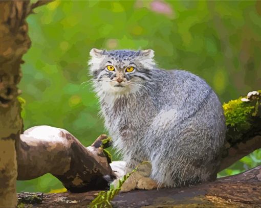 Manul On Tree Paint By Numbers