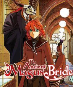 The Ancient Magus Bride Poster Paint By Numbers