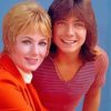 The Cast Kids Of The Partridge Family Paint By Numbers