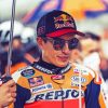 The Motorcycles Racer Marc Marquez Paint By Numbers