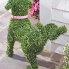 Topiary Dog Paint By Numbers