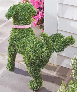 Topiary Dog Paint By Numbers