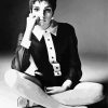 Black And White Liza Minnelli Paint By Numbers
