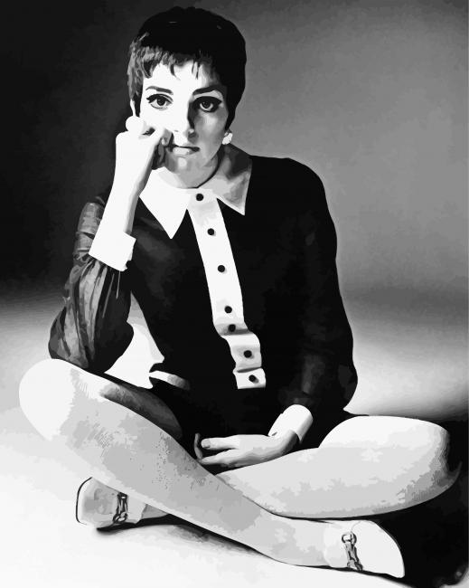 Black And White Liza Minnelli Paint By Numbers