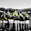 Black And White Richmond Tigers Paint By Numbers