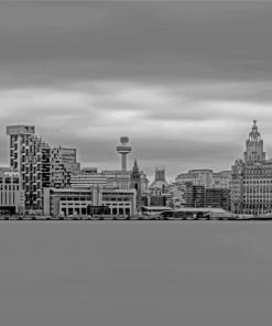 Black And White Liverpool Skyline Paint By Numbers