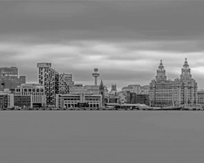 Black And White Liverpool Skyline Paint By Numbers