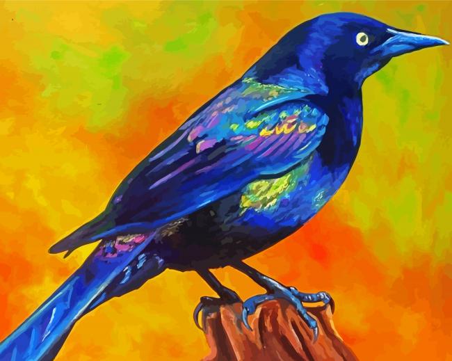 Common Grackle Bird Art Paint By Numbers