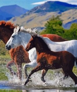Horses Running Through The River Paint By Numbers