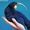 Huia Bird Paint By Numbers