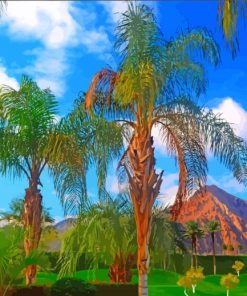 Palm Desert California Paradise Paint By Numbers