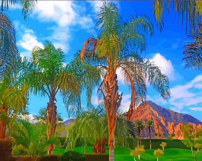Palm Desert California Paradise Paint By Numbers