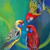 Rosellas Birds Paint By Numbers