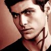 Shadowhunters Serie Alec Lightwood Paint By Numbers