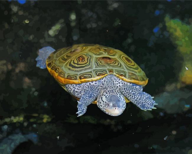Terrapin Turtle In Water Paint By Numbers