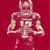 Texas A M Aggies Football Player Art Paint By Numbers