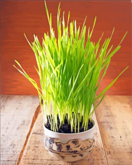 Wheatgrass In Ceramic Cup Paint By Numbers