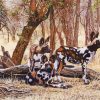 Wild African Hunting Dogs Paint By Numbers