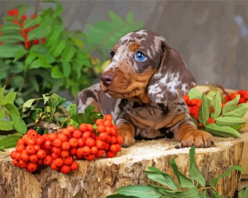 Aesthetic Dachshund Miniature Paint By Numbers