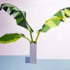 Banana Leaves Vase Paint By Numbers