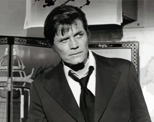 Retro Jack Lord Paint By Numbers