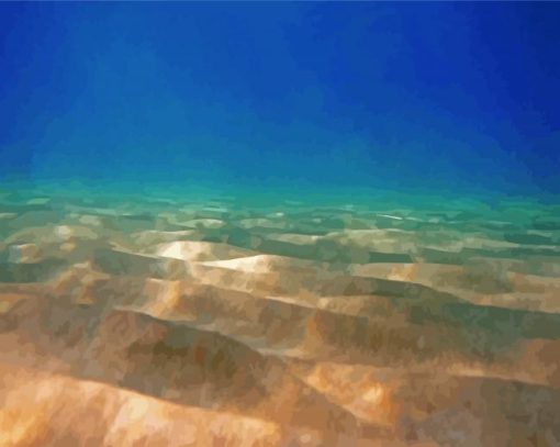Sandy Bottom Ocean Paint By Numbers