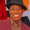The American Actor Wesley Snipes Paint By Numbers