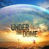 Under The Dome Paint By Numbers