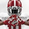 Alabama Crimson Tide Paint By Numbers