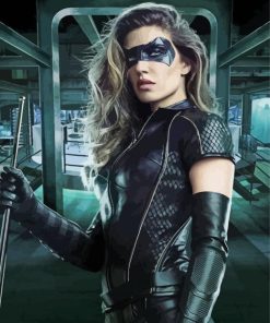 Black Canary Paint By Numbers