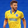 Brighton And Hove Albion Player Paint By Numbers