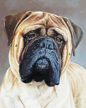 Bull Mastiff Paint By Numbers