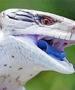 Close Up Blue Tongued Skink Paint By Numbers