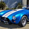 Cobra Car Paint By Numbers