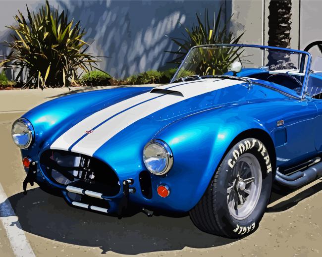 Cobra Car Paint By Numbers