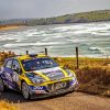 Donegal International Rally Paint By Numbers