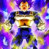 Ego Vegeta Dragon Ball Paint By Numbers
