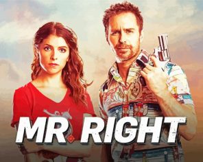 Mr Right Movie Paint By Numbers