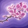 Pink Orchids Flowering Plants Paint By Numbers