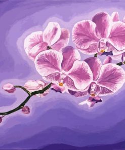 Pink Orchids Flowering Plants Paint By Numbers