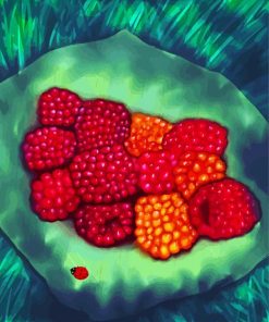 Salmonberry Art Paint By Numbers