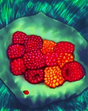 Salmonberry Art Paint By Numbers