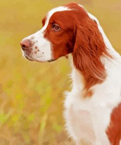 The Irish Red And White Setter Paint By Numbers